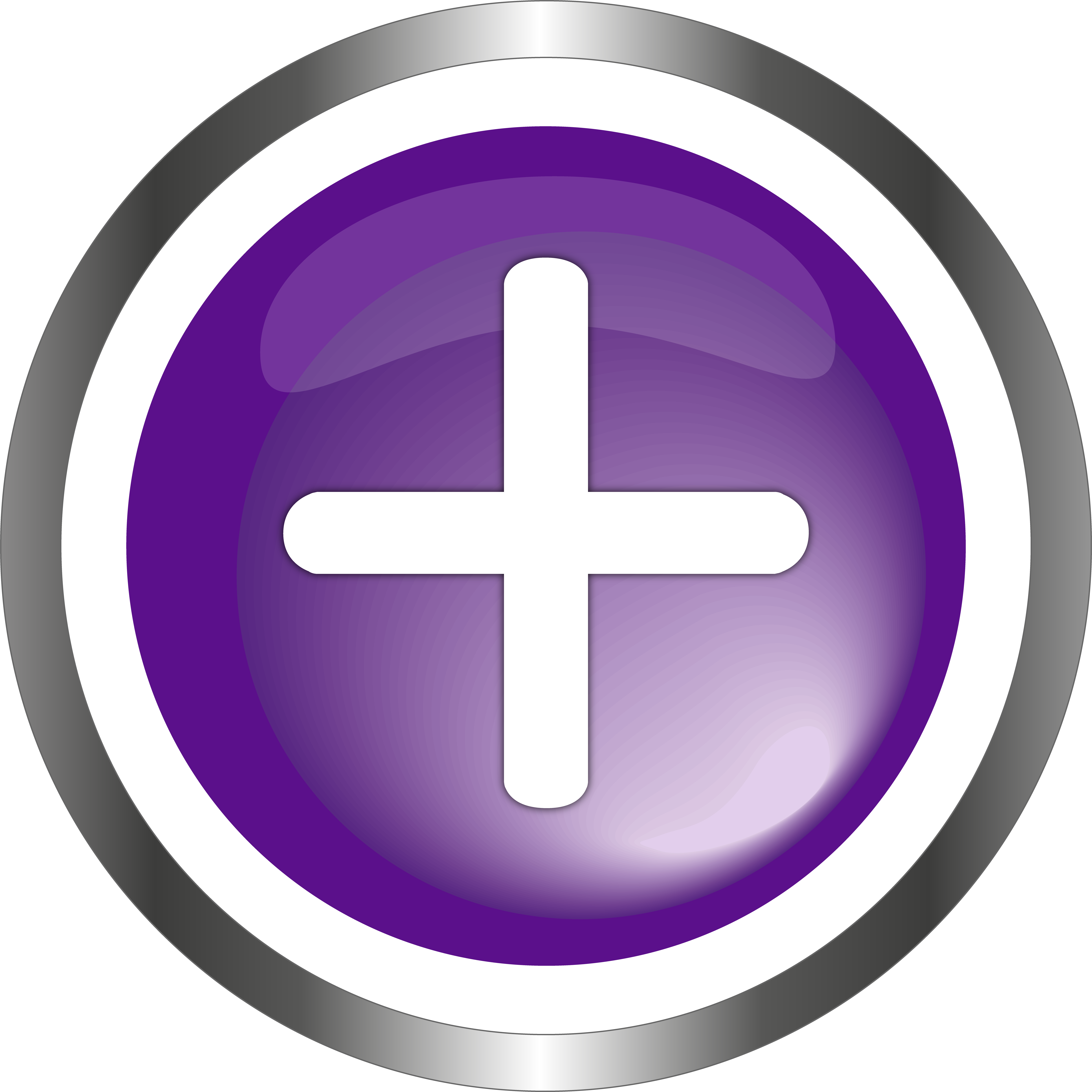 Bearings Plus Icon